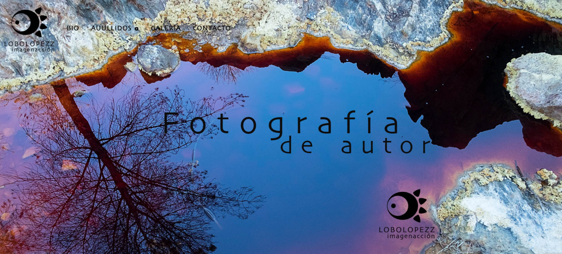 Website: Lobolopezz