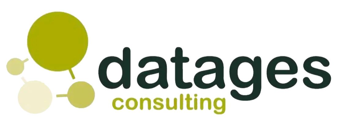 Datages_consulting_diseño_web_valladolid